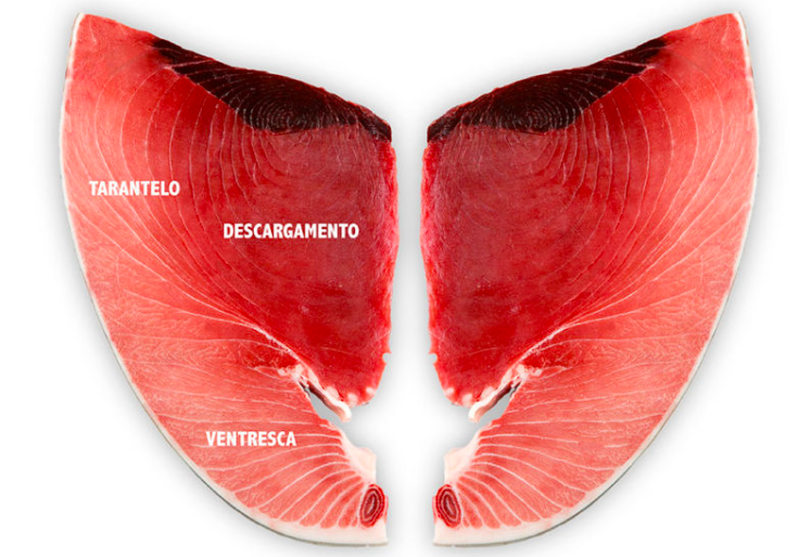 Tarantelo in olijfolie - Afbeelding 4