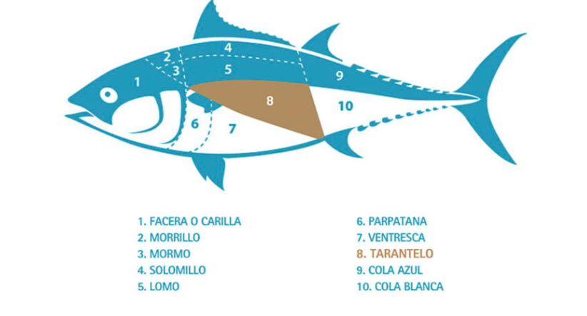 Tarantelo in olijfolie - Afbeelding 5